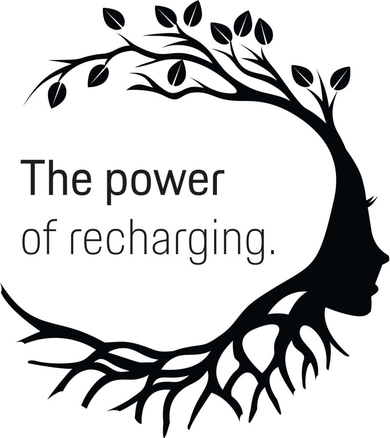 Porsche recharging Logo